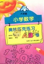 小学数学奥林匹克练习AB卷 六年级 1994 PDF电子版封面 7563904131 李异芳,欧丽编;陶晓永策划