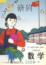 九年义务教育实验教材 六年制小学 数学 第12册 沿海版 1994 PDF电子版封面 7540631236 九年义务教育教材(沿海版)编委会编著