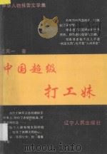 中华人物报告文学集 中国超级打工妹 1995 PDF电子版封面 7205032113 王天一著