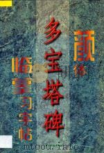 颜体《多宝塔碑》临摹习字帖 1997 PDF电子版封面 7801201132 永珍等主编
