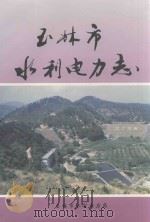 玉林市水利电力志 1993 PDF电子版封面 陈业洋主编;王亮来副主编