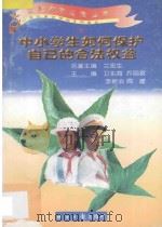 中小学生如何保护自己的合法权益 1997 PDF电子版封面 7801273109 卫东海等主编