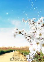 中央半月刊  1卷合编  第13-16期（ PDF版）