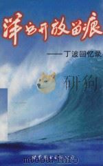 洋书开放留痕 丁波回忆录 1998 PDF电子版封面 丁波