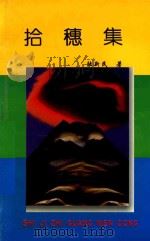 世纪之光文丛 拾穗集 1998 PDF电子版封面 7540207566 陆新民著