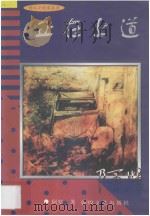 正在上道 1997 PDF电子版封面 7805874190 阿坚著