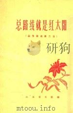 总路线就是红太阳 创作歌选第二集 1958 PDF电子版封面 山东省文联编