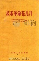 技术革命花儿开 歌曲 简谱本 1960 PDF电子版封面 中国音乐家协会江西分会,江西人民出版社编