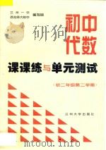 初中代数课课练与单元测试  初中二年级  第二学期（ PDF版）