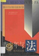 青少年与法 送你一把闪光宝剑 1997 PDF电子版封面 7535119832 孙鸿翔,郭翔主编;贾永清,刘新生副主编