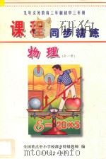 九年义务教育三年制初中三年级《课程同步精练》  物理  全1册（ PDF版）