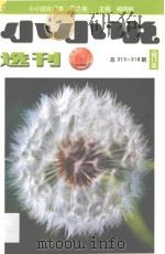 小小说选刊  总313-318期  合订本  春之卷（ PDF版）