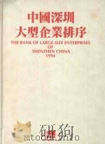 中国深圳大型企业排序 1994 1994 PDF电子版封面 7806150994 深圳市企业评价协会,《中国深圳大型企业排序》编辑委员会编