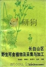长白山区野生可食植物及采集与加工 1992 PDF电子版封面 7538409629 姜炳志…等主编