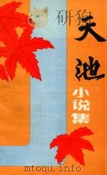 天池小说集（1986 PDF版）