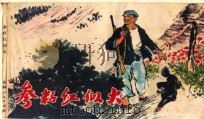 参籽红似火（ PDF版）