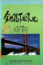 金门桥下的浪花 1989 PDF电子版封面 老南著