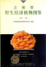 吉林省野生经济植物图鉴 第1册 1991 PDF电子版封面 7538407693 吉林省农业区划委员会办公室编著;吴玉兰责任编辑