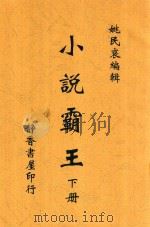 小说霸王 下 1919 PDF电子版封面 姚民哀编辑
