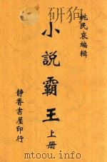小说霸王 上 1919 PDF电子版封面 姚民哀编辑