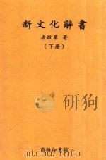 新文化辞书 下 第2版 1924 PDF电子版封面 唐敬杲编纂