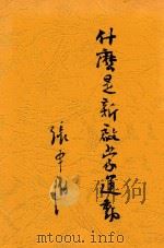 什么是新启蒙运动 1939 PDF电子版封面 张申府著