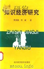 知识经济研究 1999 PDF电子版封面 7536442793 樊美勤,邓斌编著