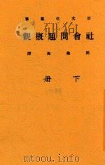 新文化丛书  社会问题概观  下（ PDF版）