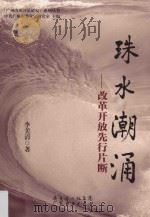 珠水潮涌  改革开放先行片断（ PDF版）