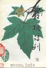 霜枫诗刊  第18期（1998 PDF版）
