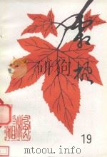 霜枫  第19期（1998 PDF版）