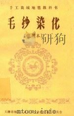 手工栽绒地毯教科书  毛纱染化  试用本（ PDF版）