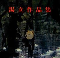 汤立作品集 1991 PDF电子版封面 753940230X 汤立
