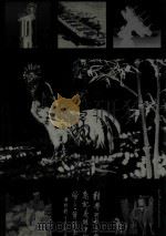 科艺神韵 摄影集 1993 PDF电子版封面 7504201707 国防科工委,炎黄艺术馆编