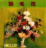世界工艺丛书 10 羽毛花 1979 PDF电子版封面 刘道捷译