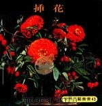 世界工艺丛书  43  插花（1979 PDF版）