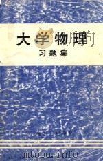 大学物理习题集 1998 PDF电子版封面 康颖主编