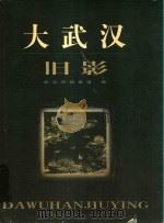 大武汉旧影 1994 PDF电子版封面 7216025377 武汉市档案馆编