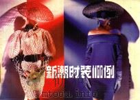 新潮时装1100例 1988 PDF电子版封面 7800492850 (日)内滕朗编著;孙振红等译