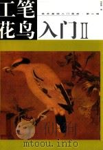 美术基础入门画库  第2辑  工笔花鸟入门  2（1999 PDF版）