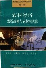 农村经济发展战略与农村现代化 1990 PDF电子版封面 7805381925 王天义等著