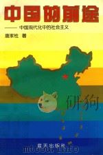 中国的前途 中国现代化中的社会主义 1995 PDF电子版封面 7800816184 唐家柱著