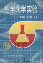 中学化学实验 1993 PDF电子版封面 7532816052 龚维新,张芳菲主编