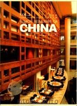 中国商业空间  第2卷  中国时尚餐厅（ PDF版）