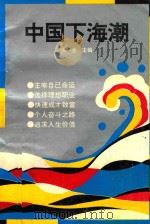 中国下海潮 1993 PDF电子版封面 7800653706 海龙主编