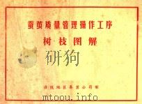 蚕茧质量管理操作工序树枝图解 PDF电子版封面 涪陵地区蚕茧公司制