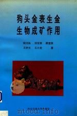 狗头金表生金生物成矿作用 1994 PDF电子版封面 7810227351 陆元法等著