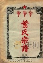 叶氏宗谱  1部（1963 PDF版）