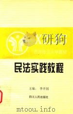 西南政法大学教材 民法实践教程 1996 PDF电子版封面 7220031319 李开国主编