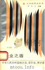 企业之盾:中华人民共和国统计法会计法审计法 1988 PDF电子版封面 722000494X 李昌麒编著